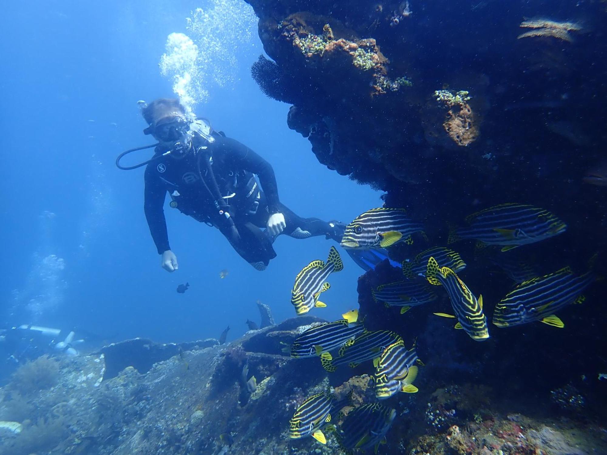 Palm Springs Bali Dive Resort Tulamben  Exterior photo